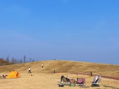 -春花秋色城市公园