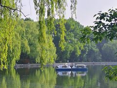 -北陵公园