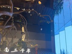 -桂满陇·海市蜃楼·黑金(国金店)