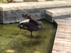 -行者书屋大堂吧 ·下午茶(南京圣和府邸酒店)