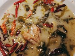 -首秀·四川料理(星耀101店)