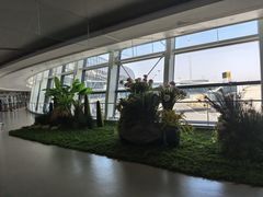 -温州龙湾国际机场