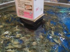 -盒马鲜生(首义店)