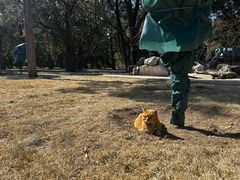 -北京市劳动人民文化宫(太庙)
