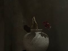 -汤家茗苑·精致私房菜(白沙店)
