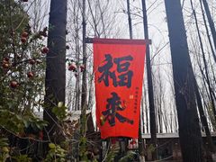 -林间山庄