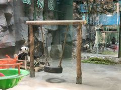 -栾川竹海野生动物园