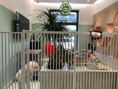 -電力宠物公司(武定路店)