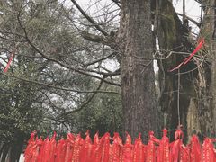 -西湖风景区十里琅珰-五云山