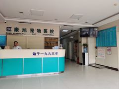 -康旭宠物医院(郑州总院)