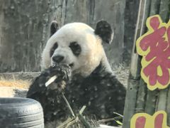 -大连森林动物园