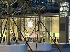 -Apple零售店(华贸购物中心店)