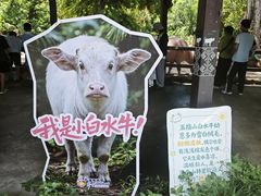 -海南热带野生动植物园