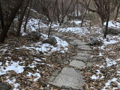 -佛慧山