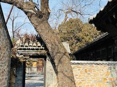 -红楼梦邮局