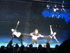 -珠海横琴长隆《卡卡虎奇遇记》