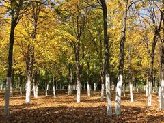-长春世界雕塑园冰雪艺术天地