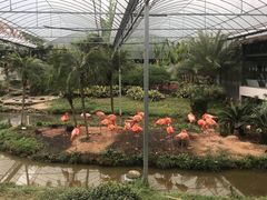-无锡动物园·太湖欢乐园