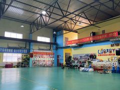 -长春乐奇平衡车儿童体能运动中心