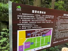 -山王坪喀斯特国家生态公园