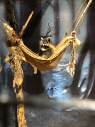 -酷嗒动物文化乐园(cutezoo西溪乐天城店)