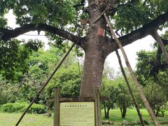 -福建鲤鱼洲酒店