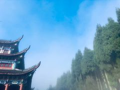 -武陵山森林公园