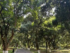 -张坝桂圆林公园