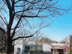 -将府公园