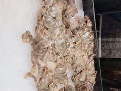 -常州环球恐龙城维景国际大酒店