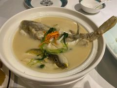 东坡河豚-肆月河豚·新淮扬(金融街店)