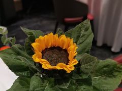 -苏淮景·苏闽融创菜·海鲜(原空港井河轩店)