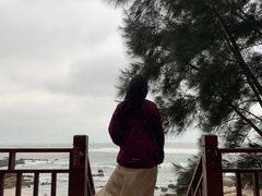 -东郊椰林