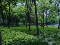 -古塔公园