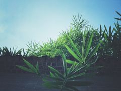 -归觅·西关小姐人文艺术馆(荔枝湾店)