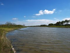 -春花秋色城市公园