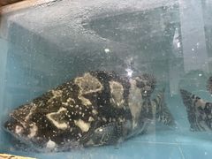 -白沙洲农产品大市场海鲜交易区