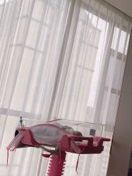 点击看大图 -梓爱月子中心(花都店)