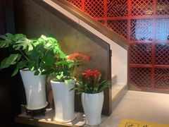 -喜湘宴·精致湖南菜(和平西桥店)