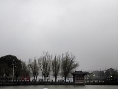 -八大山人梅湖景区