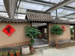-上海都市菜园