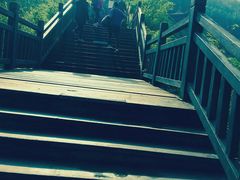 -铁山坪森林公园