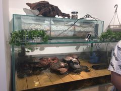 -甜心闲生传统手工冰粉(奎星楼店)