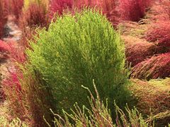 -汉长安城未央宫国家考古遗址公园