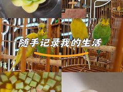 -淮扬府·游园京梦(北京SKP店)