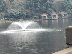 -重庆彩云湖湿地公园