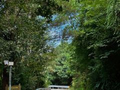 -福建泉州仙公山风景名胜区