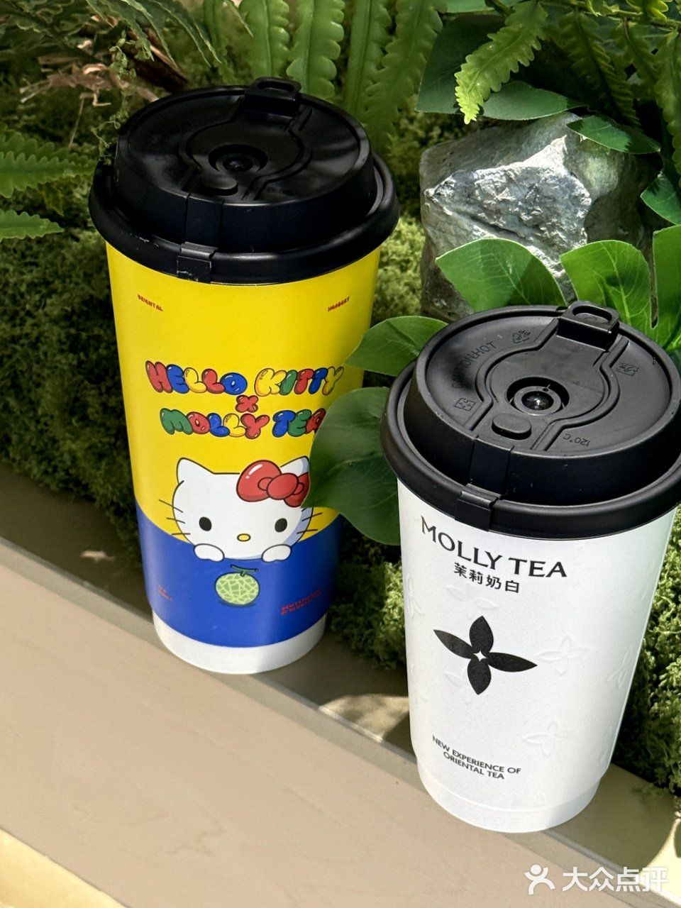 今天的情绪价值是茉莉奶白给的