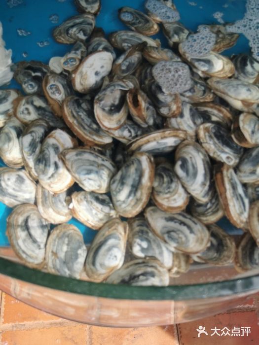 同道蒸汽海鲜烧烤自助(刘庄夜市店)鸭蛋蛏，竹节蛏，鲍鱼，八爪鱼图片