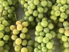 -五里多农博广场